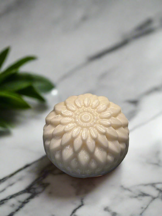 Almond and Coconut Milk