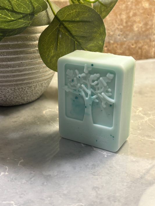 Stand Firm Antibacterial Hand Soap