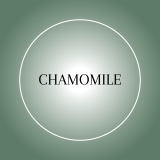Chamomile