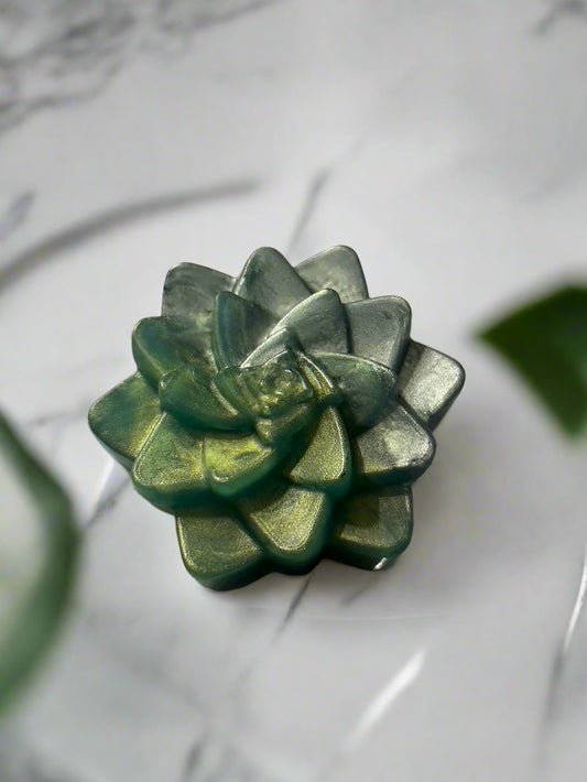 Succulents Body Soap