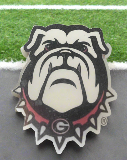 Dawg Nation