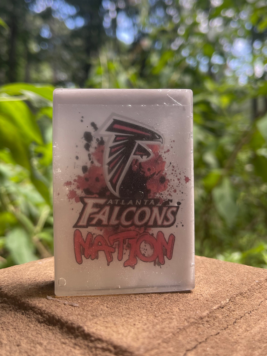 Falcons Nation