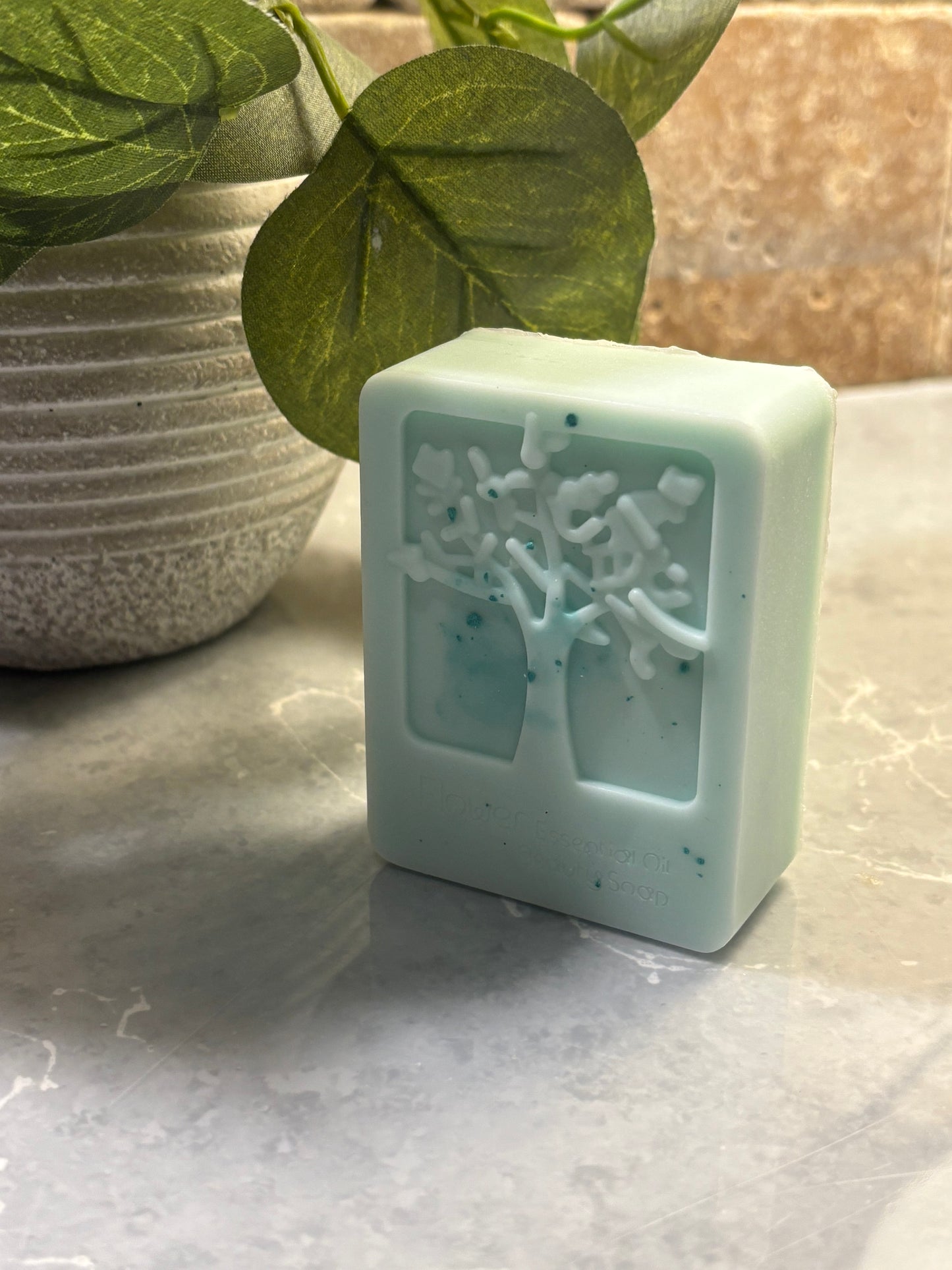 Stand Firm Antibacterial Hand Soap