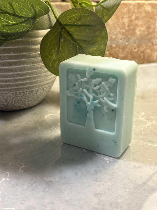 Stand Firm Antibacterial Hand Soap